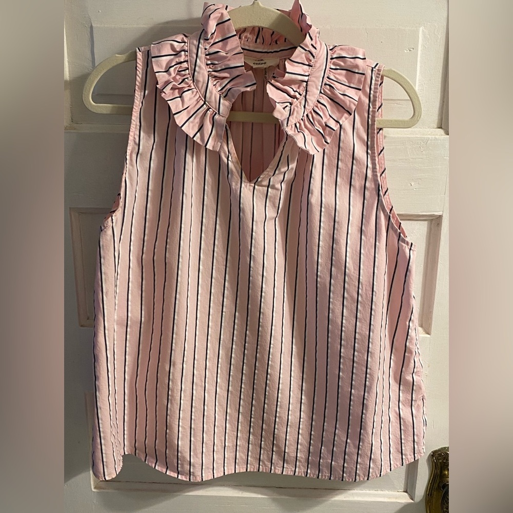 Enzo Angiolini Pink and Black Striped Ruffle Blouse